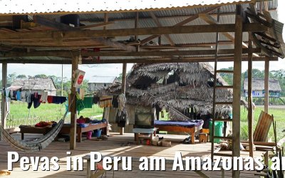 Pevas in Peru am Amazonas am 07.01.2015
