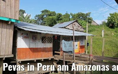 Pevas in Peru am Amazonas am 07.01.2015