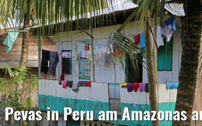 Pevas in Peru am Amazonas am 07.01.2015
