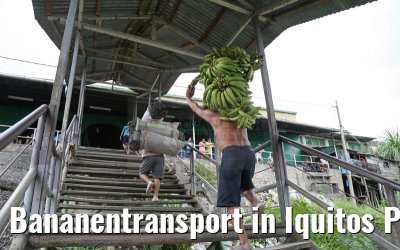 Bananentransport in Iquitos Peru 08.01.2015