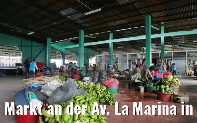 Markt an der Av. La Marina in Iquitos 08.01.2015