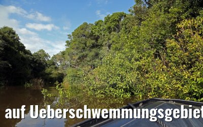 auf Ueberschwemmungsgebiet am Amazonas mit Zodiac 11.01.2015