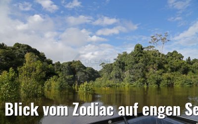 Blick vom Zodiac auf engen Seitenarm des Amazonas 11.01.2015