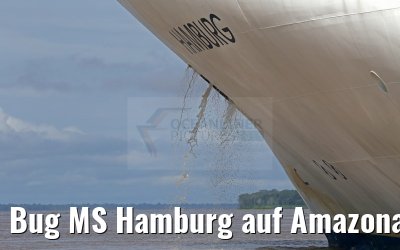 Bug MS Hamburg auf Amazonas 11.01.2015