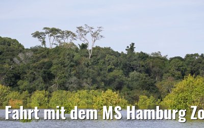 Fahrt mit dem MS Hamburg Zodiac auf dem Amazonas 11.01.2015