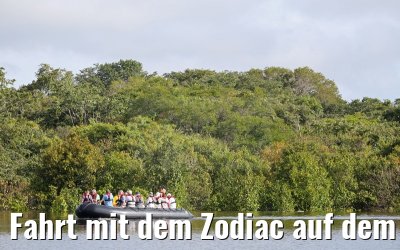 Fahrt mit dem Zodiac auf dem Amazonas 11.01.2015