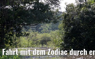 Fahrt mit dem Zodiac durch enge Kanaele 11.01.2015