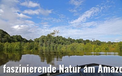faszinierende Natur am Amazonas 11.01.2015