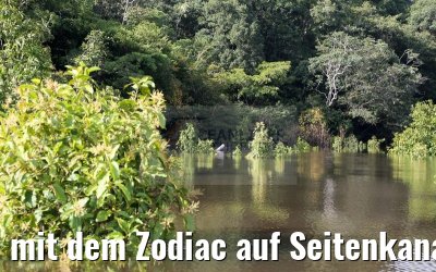mit dem Zodiac auf Seitenkanal des Amazonas 11.01.2015