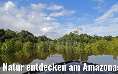 Natur entdecken am Amazonas mit dem Zodiac 11.01.2015