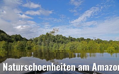 Naturschoenheiten am Amazonas 11.01.2015