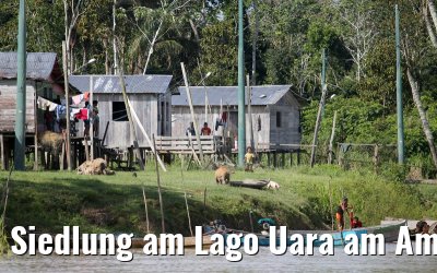 Siedlung am Lago Uara am Amazonas 11.01.2015
