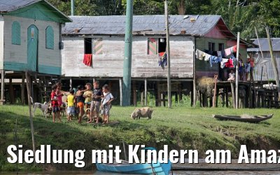 Siedlung mit Kindern am Amazonas beim Lago Uara 11.01.2015