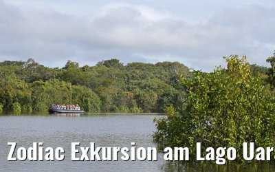 Zodiac Exkursion am Lago Uara 11.01.2015