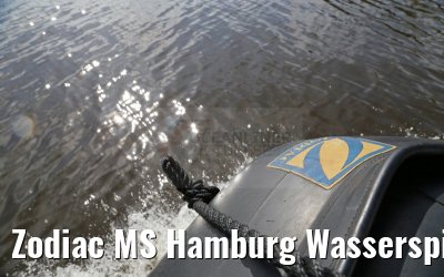 Zodiac MS Hamburg Wasserspiegelung 11.01.2015