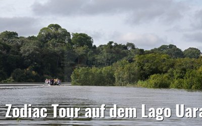 Zodiac Tour auf dem Lago Uara 11.01.2015