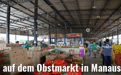 auf dem Obstmarkt in Manaus 13.01.2015
