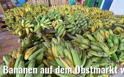 Bananen auf dem Obstmarkt von Manaus 13.01.2015