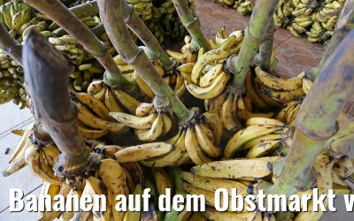 Bananen auf dem Obstmarkt von Manaus 13.01.2015