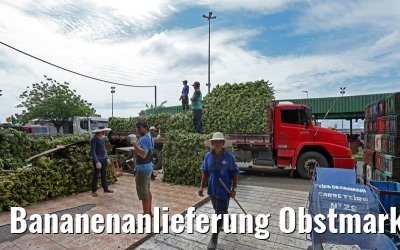 Bananenanlieferung Obstmarkt Manaus 13.01.2015