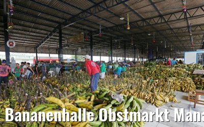 Bananenhalle Obstmarkt Manaus 13.01.2015