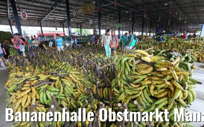 Bananenhalle Obstmarkt Manaus 13.01.2015