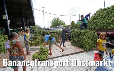 Bananentransport Obstmarkt Manaus 13.01.2015