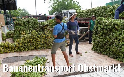 Bananentransport Obstmarkt Manaus 13.01.2015