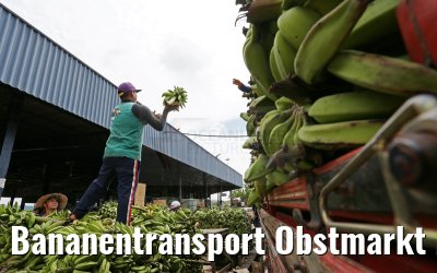 Bananentransport Obstmarkt Manaus 13.01.2015
