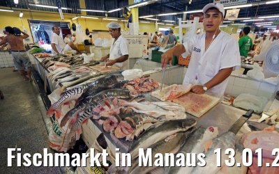 Fischmarkt in Manaus 13.01.2015 