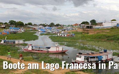 Boote am Lago Francesa in Parintins 14.01.2015