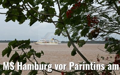 MS Hamburg vor Parintins am Amazonas 14.01.2015
