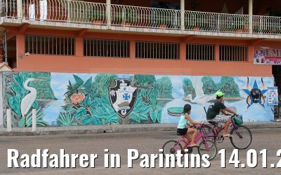 Radfahrer in Parintins 14.01.2015