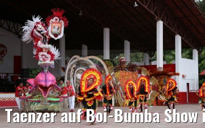 Taenzer auf Boi-Bumba Show in Parintins in Brasilien 14.01.2015