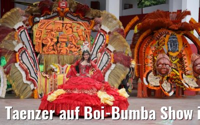 Taenzer auf Boi-Bumba Show in Parintins in Brasilien 14.01.2015