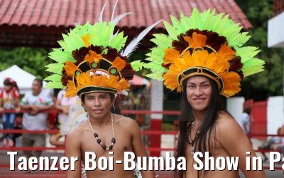 Taenzer Boi-Bumba Show in Parintins 14.01.2015