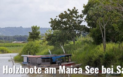 Holzboote am Maica See bei Santarem 15.01.2015