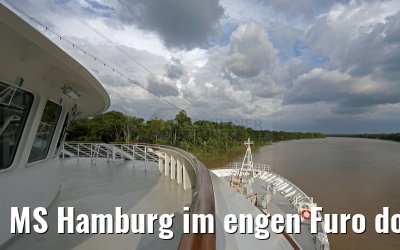 MS Hamburg im engen Furo do Marinheiro Kanal am Amazonas Delta 16.01.2015