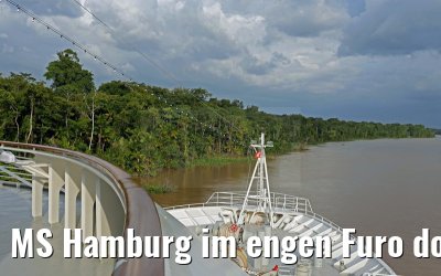 MS Hamburg im engen Furo do Marinheiro Kanal am Amazonas Delta 16.01.2015