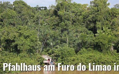 Pfahlhaus am Furo do Limao im Amazonas Delta 16.01.2015