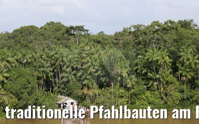 traditionelle Pfahlbauten am Furo do Limao am Amazonas Delta 16.01.2015