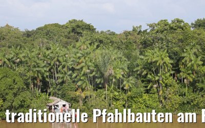 traditionelle Pfahlbauten am Furo do Limao am Amazonas Delta 16.01.2015