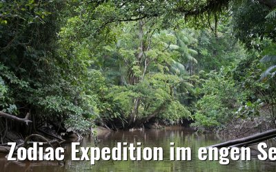 Zodiac Expedition im engen Seitenarm des Amazonas 16.01.2015