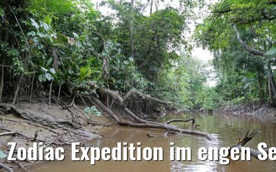 Zodiac Expedition im engen Seitenarm des Amazonas 16.01.2015