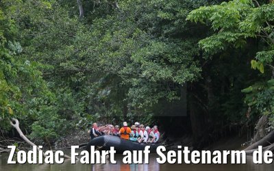 Zodiac Fahrt auf Seitenarm des Amazonas 16.01.2015