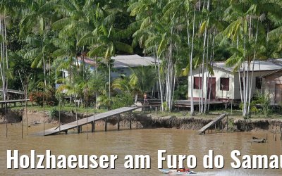 Holzhaeuser am Furo do Samauma im Amazonas Delta 17.01.2015