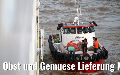 Obst und Gemuese Lieferung MS Hamburg vor Macapa 17.01.2015