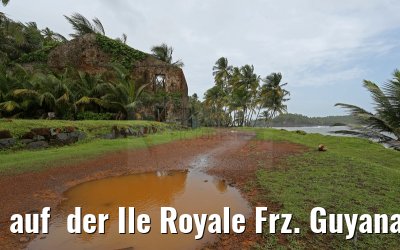 auf  der Ile Royale Frz. Guyana 19.01.2015