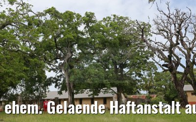 ehem. Gelaende Haftanstalt auf Ile Royale 19.01.2015