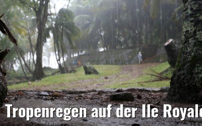 Tropenregen auf der Ile Royale 19.01.2015